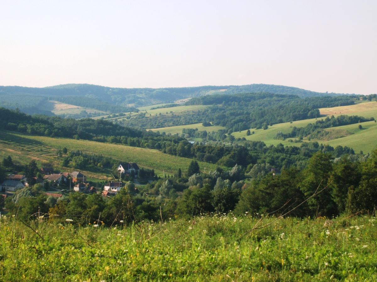 Rejtek Vendégház Lispeszentadorján Kültér fotó