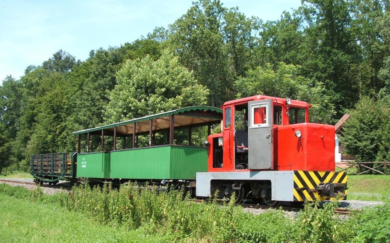 Rejtek Vendégház Lispeszentadorján Kültér fotó